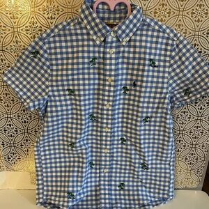 Polo by Ralph Lauren Blue and Green Casual Button Down Shirt Size 14-16